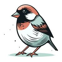 Spatz Vogel isoliert auf Weiß Hintergrund. Hand gezeichnet Vektor Illustration.