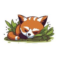 rot Panda Schlafen im das Gras. Vektor Illustration von ein süß Tier.