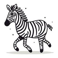 zebra zebra djur- vektor illustration isolerat på en vit bakgrund.