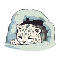 süß Karikatur Leopard Schlafen im ein Höhle. Vektor Illustration.