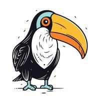 toucan fågel vektor illustration. hand dragen klotter tukan.