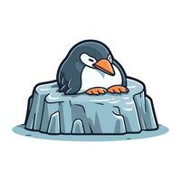 Pinguin auf Eis. Vektor Illustration von ein Karikatur Pinguin.