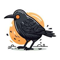 süß Krähe Vektor Illustration. Hand gezeichnet schwarz Vogel auf Weiß Hintergrund.