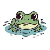 Frosch im Wasser isoliert auf ein Weiß Hintergrund. Vektor Illustration.