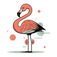 Flamingo Vektor Illustration. isoliert auf ein Weiß Hintergrund.