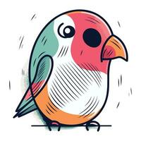 Vektor Illustration von ein süß wenig Papagei auf ein Weiß Hintergrund.