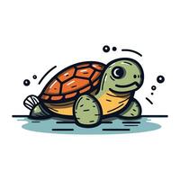 söt tecknad serie sköldpadda. isolerat på vit bakgrund. vektor illustration.