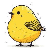 Vektor Illustration von ein süß wenig Gelb Vogel isoliert auf Weiß Hintergrund.