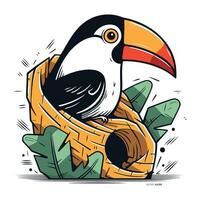 toucan Sammanträde i en korg- bo. vektor illustration.