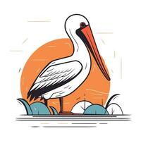 pelikan fågel vektor illustration. stork i platt stil isolerat på vit bakgrund.