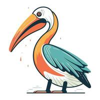 pelikan vektor illustration. tecknad serie pelikan isolerat på vit bakgrund