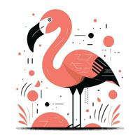 Flamingo. Flamingo auf Weiß Hintergrund. Vektor Illustration.