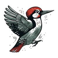 Specht Vektor Illustration. Hand gezeichnet skizzieren von ein Vogel.