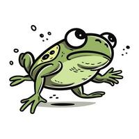 Frosch Symbol. Vektor Illustration von Karikatur Frosch. Hand gezeichnet Frosch.