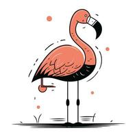 Flamingo. Hand gezeichnet Vektor Illustration von ein Flamingo.