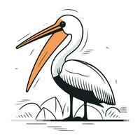 pelikan vektor illustration isolerat på vit bakgrund. stork tecknad serie maskot.