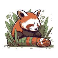 söt röd panda Sammanträde i de gräs. vektor illustration.