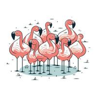 Flamingo isoliert auf Weiß Hintergrund. Hand gezeichnet Vektor Illustration.