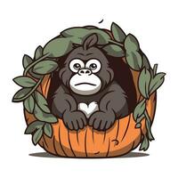 Gorilla im ein Kürbis mit Blätter. Vektor Karikatur Illustration.