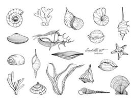 hand dragen snäckskal samling. uppsättning av tång, korall, sjöstjärna, skal. vektor svart och vit illustration.