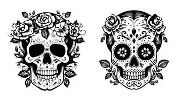 schwarz Schädel und Rosen Vektor Illustration auf isoliert Weiß Hintergrund, Färbung Seiten zum Erwachsene