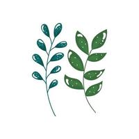 Zweige mit Blättern Natur Ökologie isolierte Symbol vektor