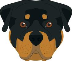 Rottweiler Hund isoliert auf Weiß Hintergrund Vektor Illustration