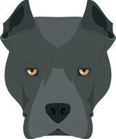 amerikanisch Staffordshire Terrier Hund isoliert auf Weiß Hintergrund Vektor Illustration