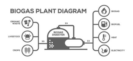Biogas Pflanze Diagramm. Biogas Produktion Phasen. illustriert lehrreich planen von Landwirtschaft zu Energie vektor