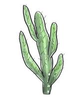Kaktus im Aquarell-Stil isoliert auf weißem Hintergrund. vektor