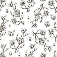 sömlös mönster av hand dragen magnolia. svartvit blomma klotter. svart och vit årgång element. vektor skiss. detaljerad retro stil.