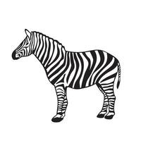 Zebra Silhouette Design. afrikanisch Tier Zeichen und Symbol. vektor