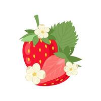 mogen röd jordgubbar med blommor på en vit bakgrund. röd jordgubb vektor illustration i platt stil.