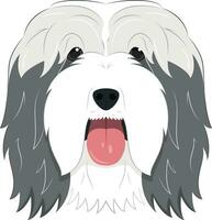 bärtig Collie Hund isoliert auf Weiß Hintergrund Vektor Illustration