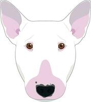 Stier Terrier Hund isoliert auf Weiß Hintergrund Vektor Illustration