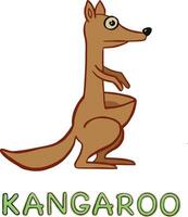 Känguru Illustration isoliert . australisch Tier Porträt. Vektor