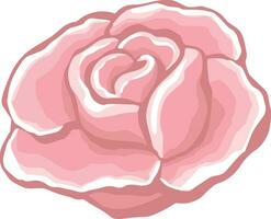 Rose, Knospe Blume Rose Farbe Blühen Illustration Vektor