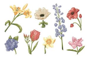 hell schön Blühen Knospen mit Blütenblätter und Grün Blätter. einstellen von Vektor isoliert Karikatur Blumen Rose, Anemone, Lilie, Narzisse.