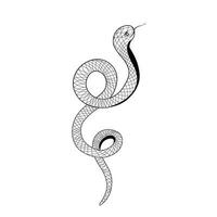 tatuering orm. vektor stock illustration. orm silhuett illustration. svart orm. isolerat på en vit bakgrund.