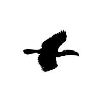 fliegend Tukane. Tukane sind neotropisch Mitglieder von das in der Nähe von Passerine Vogel Familie Ramphastidae. das Ramphastidae sind die meisten eng verbunden zu das amerikanisch Barbets, Vogel Silhouette. Vektor Illustration