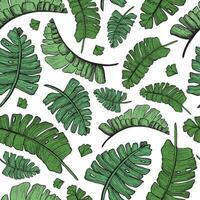 Vektor Grün tropisch Palme Blätter nahtlos Muster mit Urwald Pflanzen. Hand gezeichnet exotisch Natur zum Drucke, Verpackung, Stoff oder Tapeten.