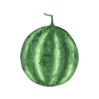 vattenfärg vattenmelon ClipArt, sommar mogen frukt, vattenmelon fest vektor