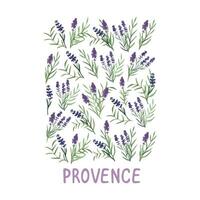 Jahrgang Aquarell Lavendel drucken, romantisch Provence Strauß Sammlung vektor