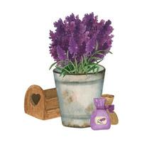 Provence Aquarell rostig Eimer mit Lavendel Blumen, hölzern Box und Segeltuch Taschen vektor