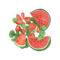 Aquarell Wassermelone reif Scheiben und Grün Clip Art. Sommer- Wassermelone Party vektor