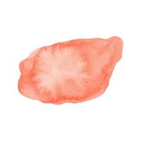 rot Aquarell Clip Art Textur. Farbe abstrakt Formen vektor