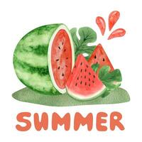 vattenfärg vattenmelon mogen skivor och grönska ClipArt. sommar vattenmelon fest vektor