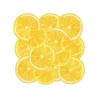 Zitrone Obst Scheiben Aquarell drucken Illustration vektor