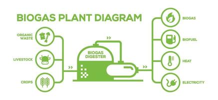 einfach Biogas Pflanze Diagramm. Biogas Produktion Phasen. illustriert lehrreich planen von Landwirtschaft zu Energie vektor