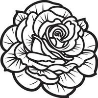 Rose Blume Clip Art schwarz Weiß Bilder. Hand gezeichnet Rosen. skizzieren Rose Blumen mit Blätter vektor